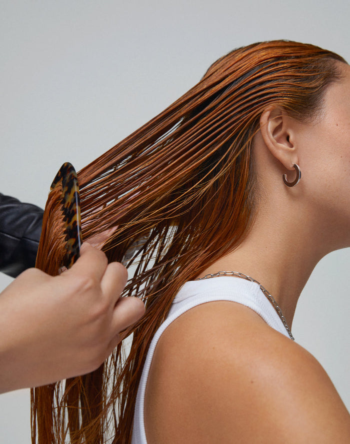 Professional Healthy Hair 3-Step System Starter Kit