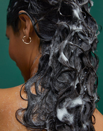 Professional Healthy Hair 3-Step System Starter Kit