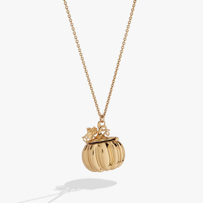 pumpkin-patch-locket-necklace-1-AO260507FSG