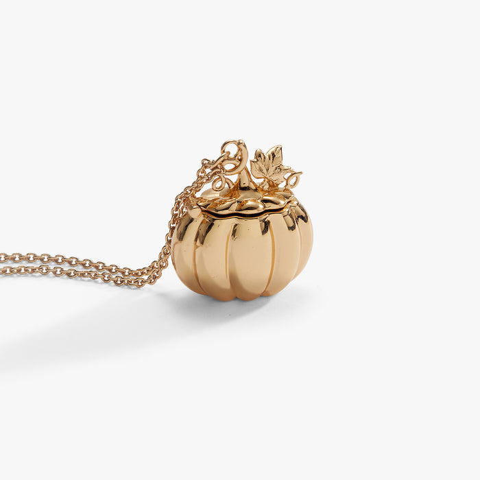 pumpkin-patch-locket-necklace-4-AO260507FSG