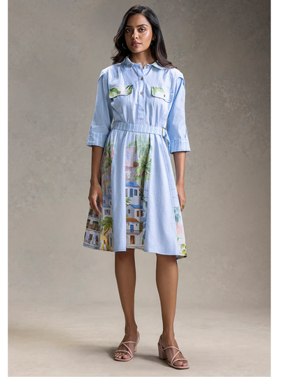 Riviera Blue Paneled Flared Dress
