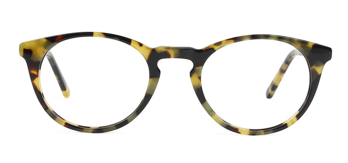 Tokyo Tortoise