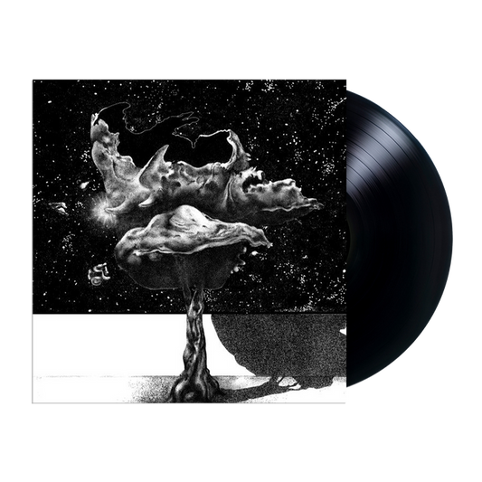 Seek Sound Shelter LP by Somafree Institute