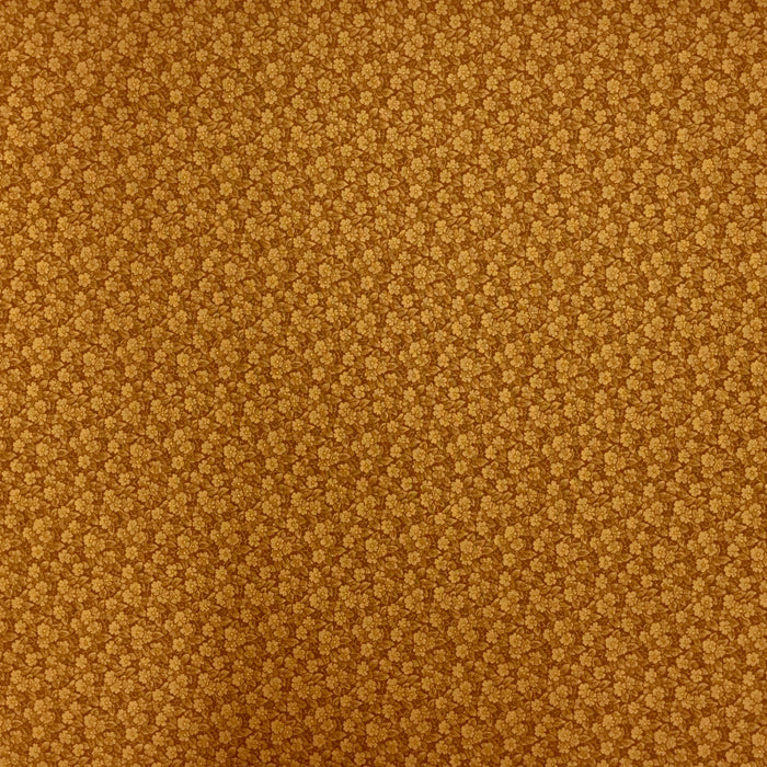 RJR - Shades Apart by Lynette Jensen 2011 #0806-4