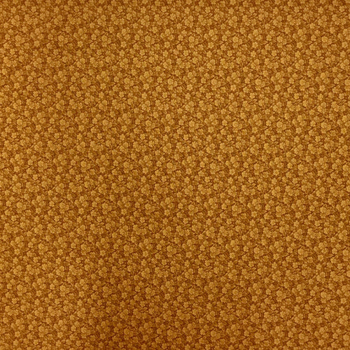 RJR - Shades Apart by Lynette Jensen 2011 #0806-4