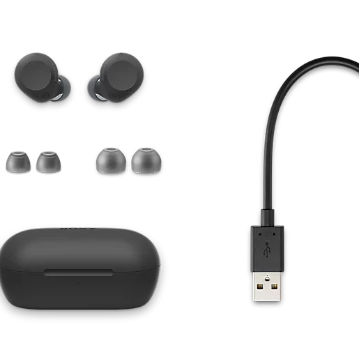Sony WFC-710N Wireless Noise Cancelling Bluetooth Earbuds Black Black