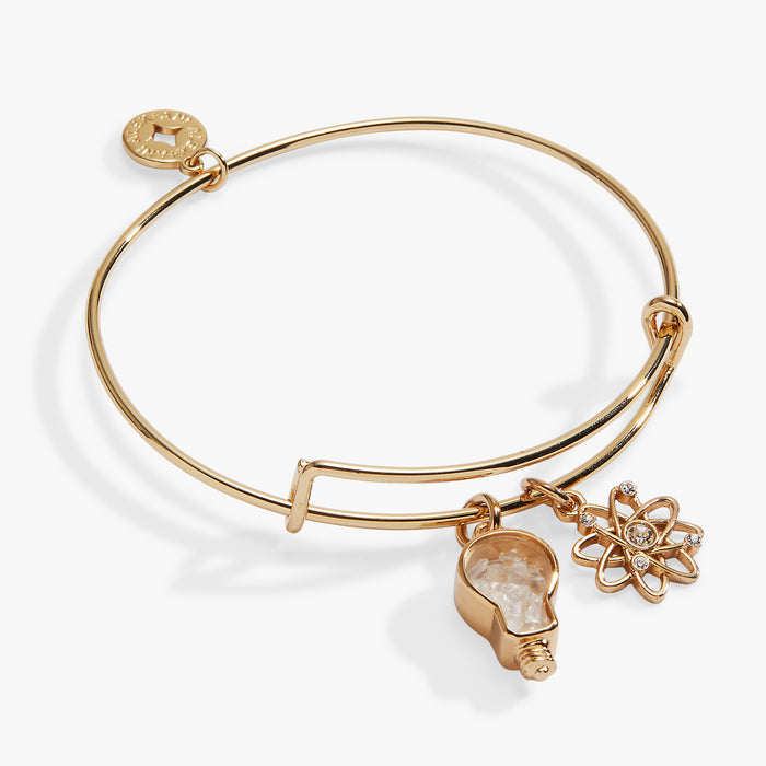STEM Shaker Lightbulb Charm Bangle