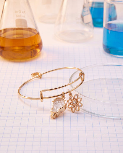 STEM Shaker Lightbulb Charm Bangle