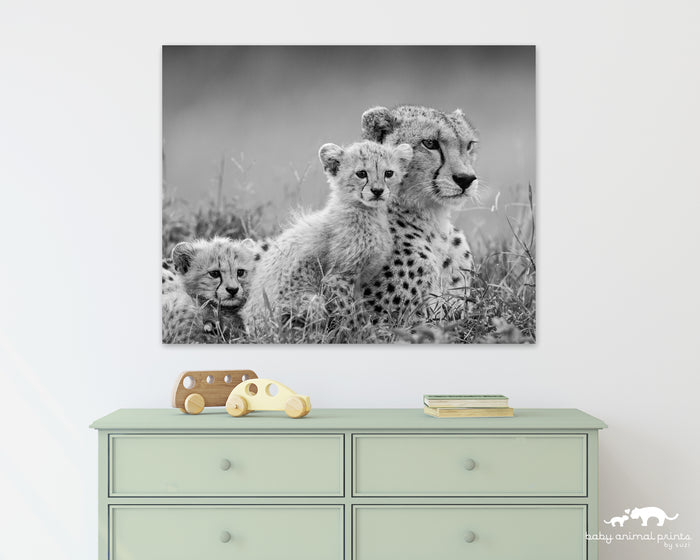 Sweet Cheetahs Photo