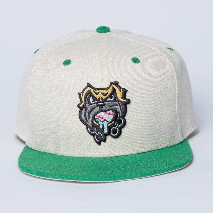 RSVLTS Sloped The Sandlot Hat The Sandlot "The Beast" – Snapback Cap