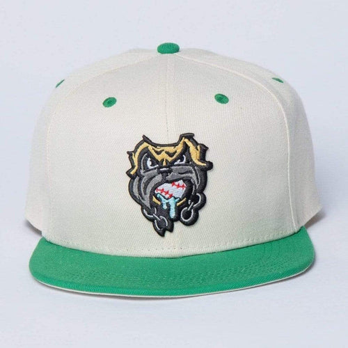 RSVLTS Sloped The Sandlot Hat The Sandlot "The Beast" – Snapback Cap