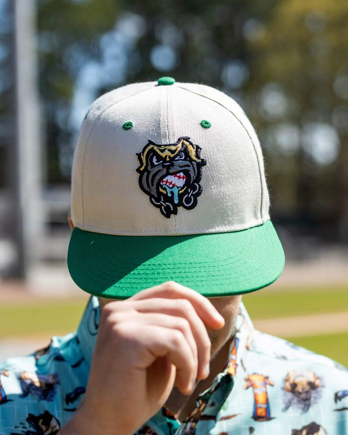 RSVLTS The Sandlot Hat The Sandlot "The Beast" – Snapback Cap