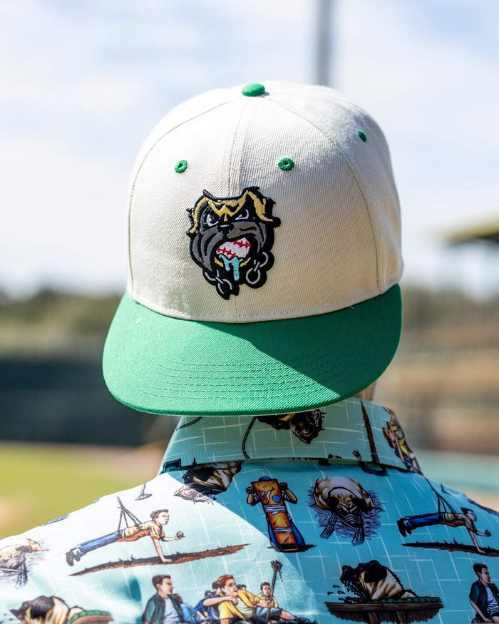 RSVLTS The Sandlot Hat The Sandlot "The Beast" – Snapback Cap