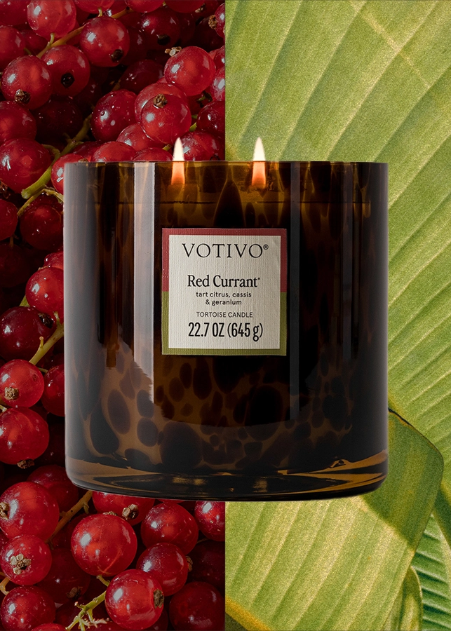Tortoise Candle - Red Currant