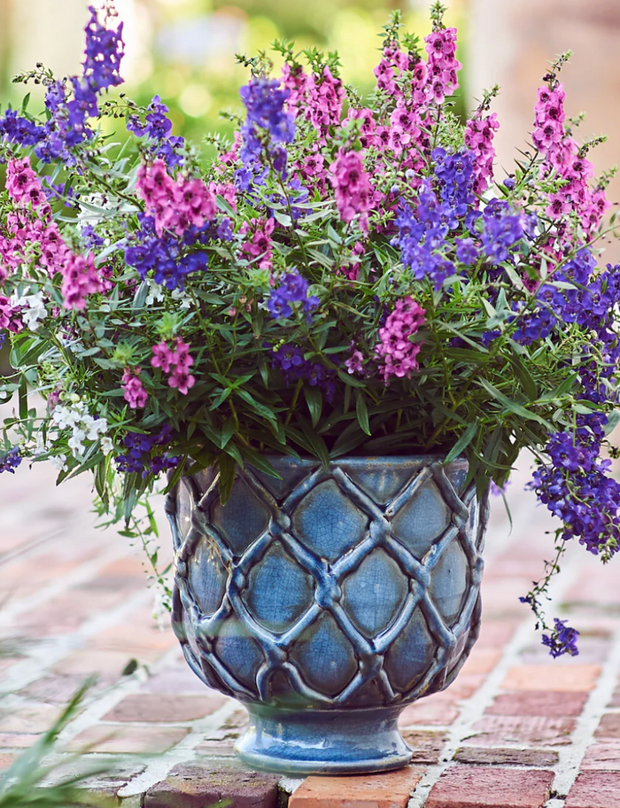 Vinci Criss Cross Planter, French Blue, Small