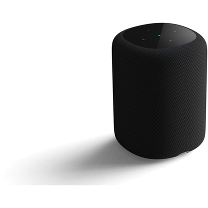 WiiM SOUND Wireless Multiroom Smart Speaker with Display - Black Black