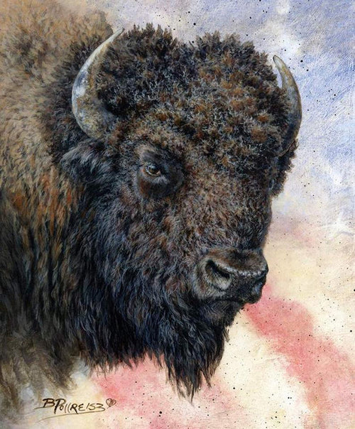WILD AND BEAUTIFUL 9282P BISON